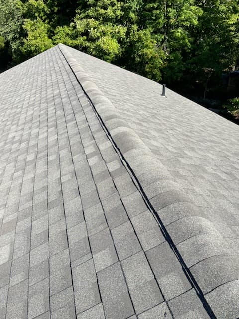 Gray shingle roof with ridge caps and surrounding trees